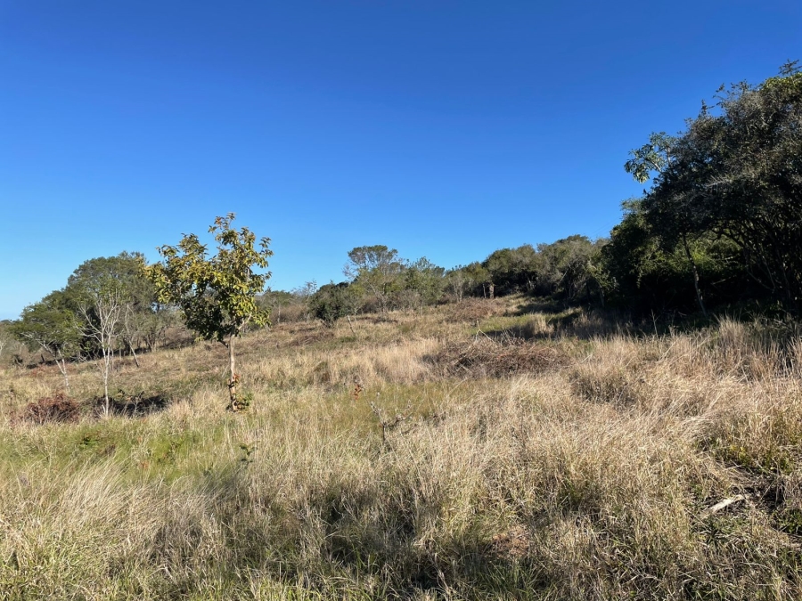 0 Bedroom Property for Sale in Bathurst Eastern Cape